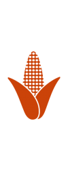 Design sem nome (22)